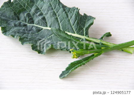 アレッタ アレッタ 124905177