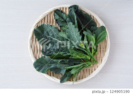 アレッタ 124905190