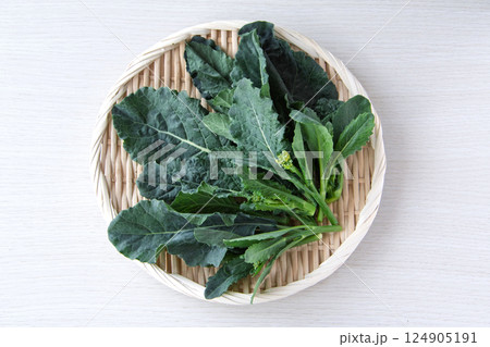 アレッタ アレッタ 124905191