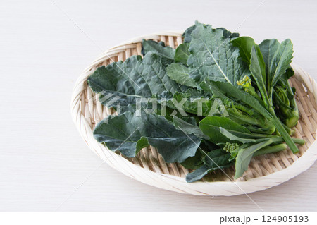 アレッタ 124905193