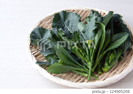 アレッタ 124905208