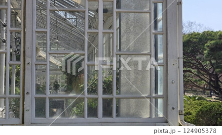 green house 124905378