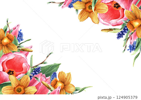 Watercolor rectangular frame of pink tulips, yellow daffodils, narcissi, blue grape hyacinth, Muscari, pussy willow branches. Watercolor illustration isolated on white. For clipart cards label package 124905379