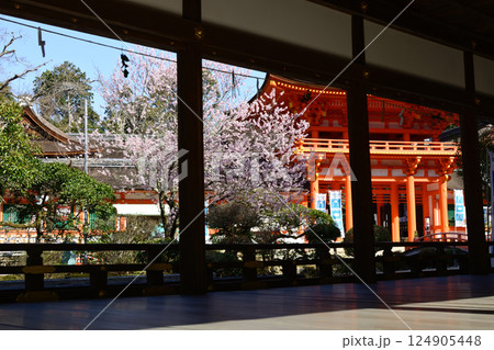 上賀茂神社（賀茂別雷神社）楼門（新宮門）と桜 124905448