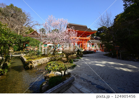 上賀茂神社（賀茂別雷神社）楼門（新宮門）と桜 124905456