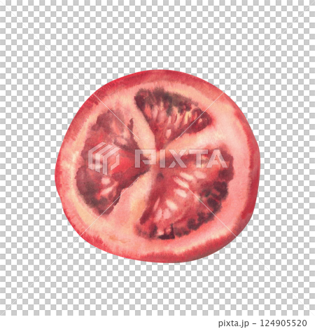 Slice of red tomato with seeds. Sliced ripe vegetable Hand painted watercolor illustration of fresh vegan food, perfect for salads, pizza. Cut one piece of fresh raw vegetable Isolated from background 124905520