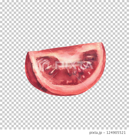 Quartered red tomato. Sliced of vegetable farm harvest. Hand drawn watercolor illustration of fresh vegan food, perfect for salads, harvest themes, ketchup label. Cut piece of fresh raw veg. Isolated 124905521