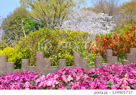 色とりどりの花が咲き誇る春の風景（大阪・鶴見緑地公園） 124905737