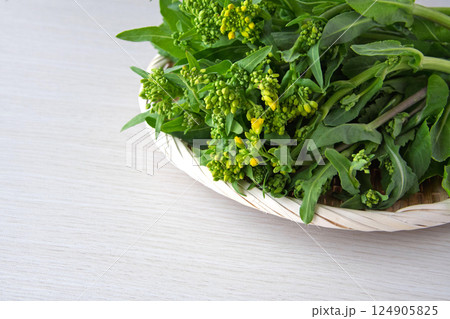 茎立ち 茎立ち 124905825