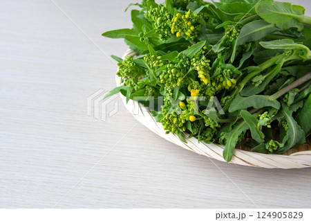 茎立ち 茎立ち 124905829