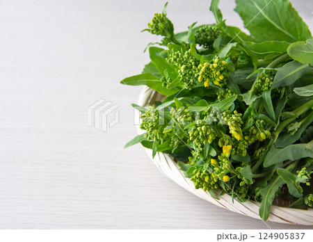 茎立ち 茎立ち 124905837