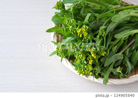 茎立ち 茎立ち 124905840