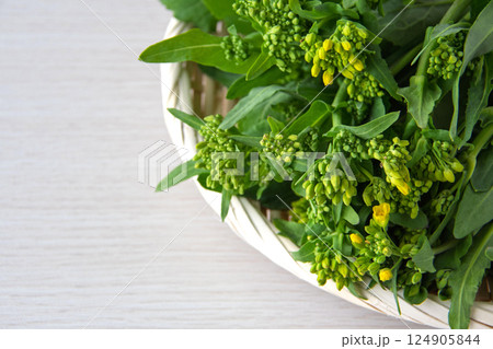 茎立ち 茎立ち 124905844