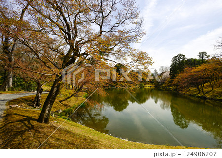 京都仙洞御所　北池　女院御所の池 124906207