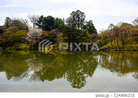 京都仙洞御所 北池 女院御所の池 京都仙洞御所 北池 女院御所の池 124906218