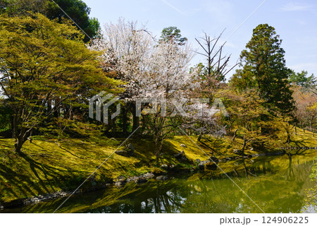 京都仙洞御所　北池　女院御所の池 124906225