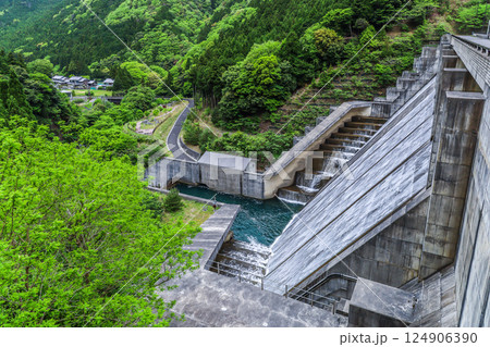 新緑の野洲川ダム風景 124906390