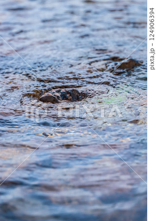 湧き水 124906394