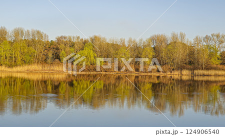 Large pond surrounded by trees and plants. Camping. Spring landscape. 124906540