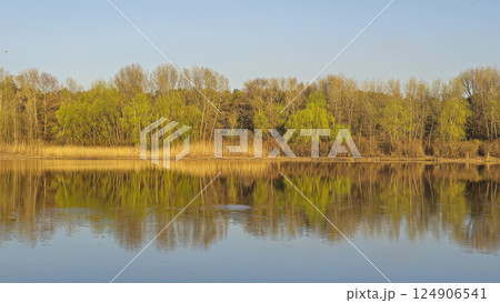 Large pond surrounded by trees and plants. Camping. Spring landscape. 124906541