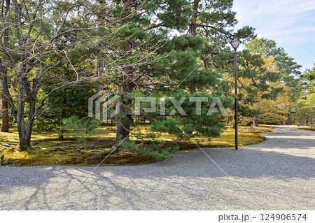 京都仙洞御所　京都大宮御所の前庭 124906574