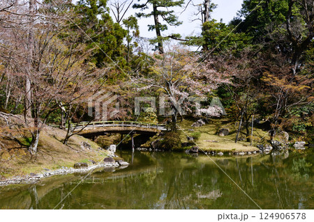 京都仙洞御所 南池と桜 京都仙洞御所 南池と桜 124906578