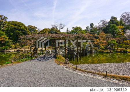 京都仙洞御所　南池と桜 124906580