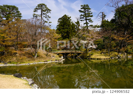 京都仙洞御所 南池と桜 京都仙洞御所 南池と桜 124906582