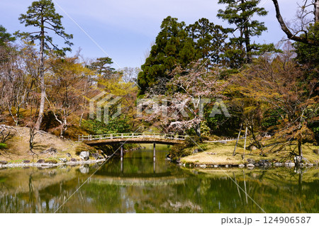 京都仙洞御所　南池と桜 124906587