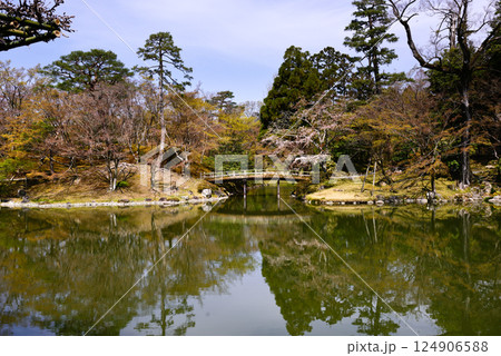京都仙洞御所　南池と桜 124906588