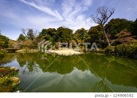 京都仙洞御所　南池と桜 124906592