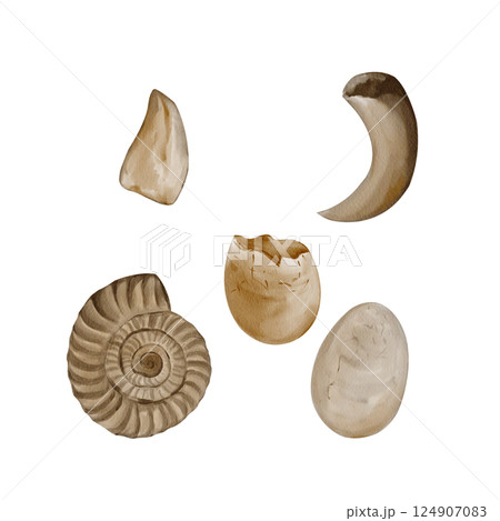 Set of fossils. Tooth and claw of a predator. Ammonite and dinosaur eggs. Archaeological finds. Paleontologist's set. Ancient shell. Watercolor illustration without background. Hand drawing. Set of fossils. Tooth and claw of a predator. Ammonite and dinosaur eggs. Archaeological finds. Paleontologist's set. Ancient shell. Watercolor illustration without background. Hand drawing. 124907083