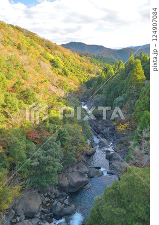 京都府福知山市の新童子橋の秋の風景 京都府福知山市の新童子橋の秋の風景 124907084