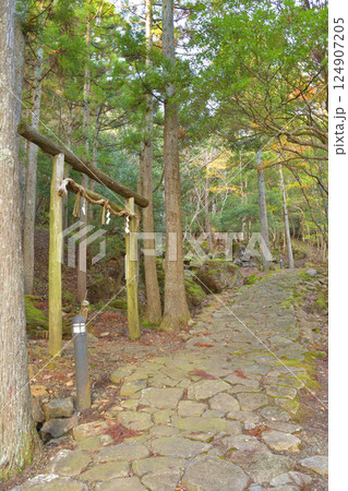 京都府福知山市の新童子橋の秋の風景 京都府福知山市の新童子橋の秋の風景 124907205