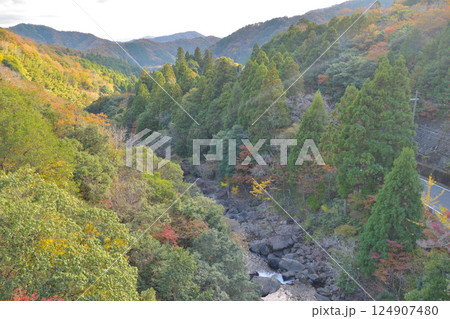 京都府福知山市の新童子橋の秋の風景 124907480