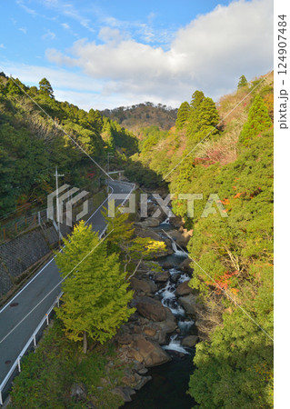 京都府福知山市の新童子橋の秋の風景 124907484