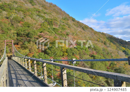 京都府福知山市の新童子橋の秋の風景 124907485