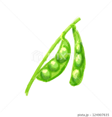 枝豆 124907635