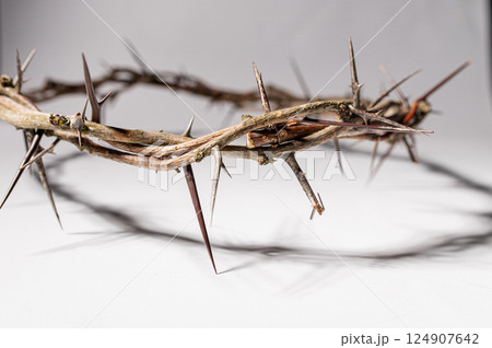 Dramatic crown of thorns projecting dark shadow, symbolizing profound spiritual suffering and sacrificial Christ resurrection Concept for faith, spirituality and religion. Easter Day Dramatic crown of thorns projecting dark shadow, symbolizing profound spiritual suffering and sacrificial Christ resurrection Concept for faith, spirituality and religion. Easter Day 124907642