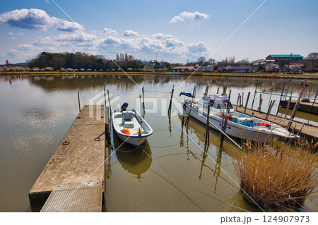 春がきて桜に包まれた北潟湖周辺の風景 124907973