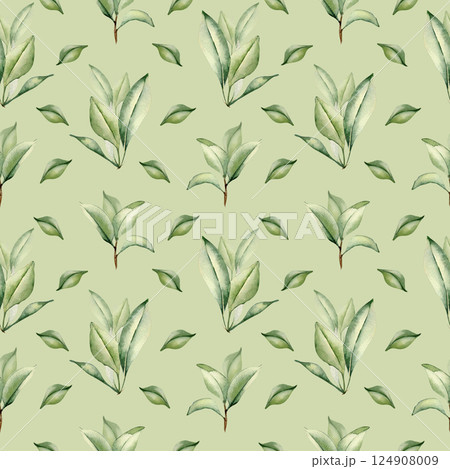 Branches of citrus tree with leaves watercolor seamless pattern isolated on white. Grapefruit tree greenery sprigs hand drawn on repeating texture. Foliage background for wallpaper, packaging, textile 124908009
