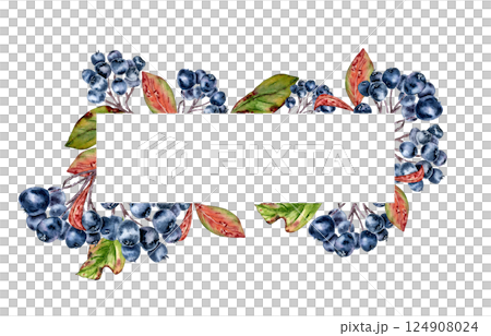 Wild aronia berry horizontal frame with watercolor foliage isolated. Chokeberry botanical border hand drawn for autumn greeting cards, food packaging, and seasonal invitation, nature product label. 124908024