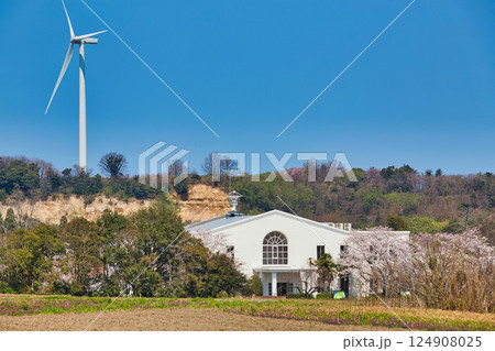 春がきて桜に包まれた北潟湖周辺の風景 124908025