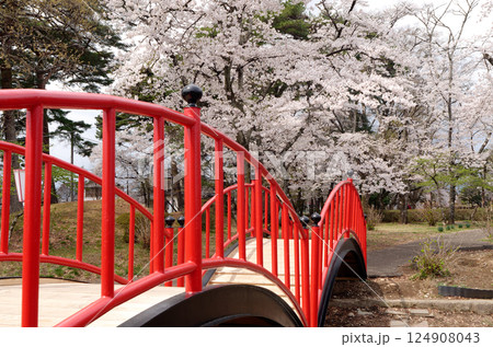 桜咲く烏ヶ森公園 桜咲く烏ヶ森公園 124908043