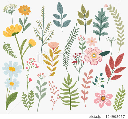 Floral collection of herbs, wildflower, leaf, branch, foliage. 124908057