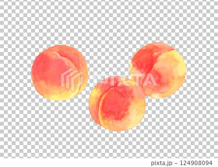 一組成熟的桃子手繪水彩水果插圖 124908094