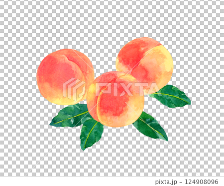 Set of ripe peaches Hand-drawn watercolor illustration of fruit 124908096