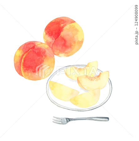 白色の皿に盛り付けた桃　フルーツの手描き水彩イラスト素材 124908099