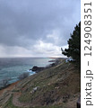 Rocky coastline with grassy cliffs under a cloudy sky, waves crash against the shore. Pine tree on the right providing a natural frame to the scenic ocean view Rocky coastline with grassy cliffs under a cloudy sky, waves crash against the shore. Pine tree on the right providing a natural frame to the scenic ocean view 124908351