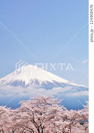日本の春　富士山と桜 124908476
